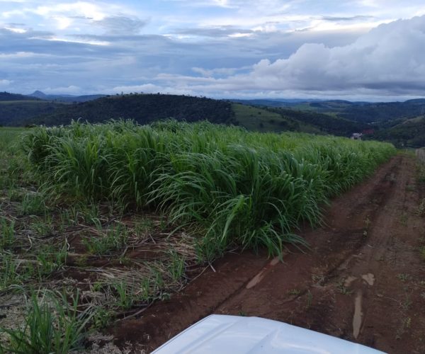 30605458-3b24-4fb6-aa05-f8c2f56a9524