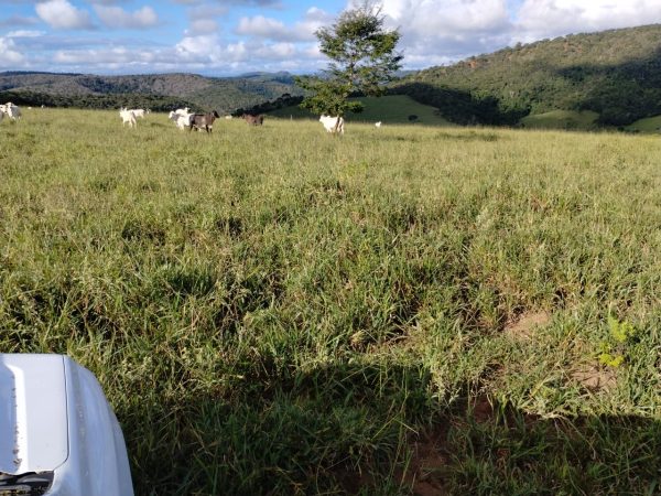 30f4b18e-fcaf-4139-a297-1e61b7296857