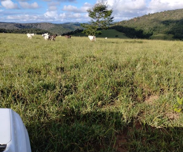 30f4b18e-fcaf-4139-a297-1e61b7296857