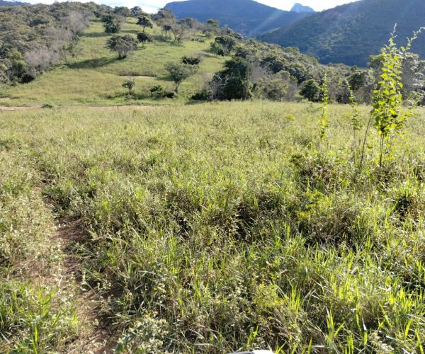 390b4768-aac7-4548-878a-e7fa4304d53d