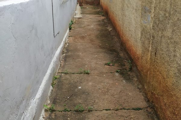 472155315_1658558925095384_256760479919589210_n