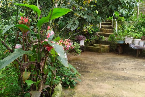 472598910_1661094564841820_5117725752401181389_n