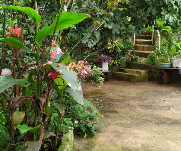 472598910_1661094564841820_5117725752401181389_n