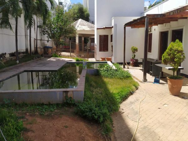 475192604_1677545753196701_1265030858249441571_n (1) (1)