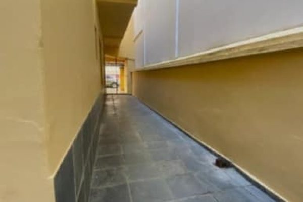 475981891_1681813456103264_8867064983597768240_n