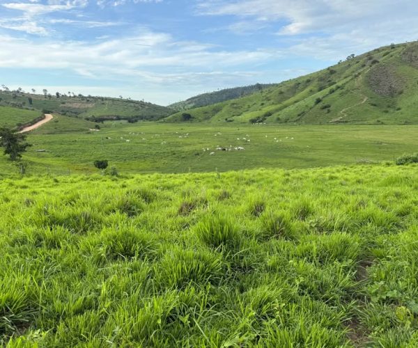 590703090_1534586331198962_836219731787984215_n