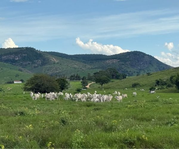 590765603_859677346995733_6380256607397443472_n