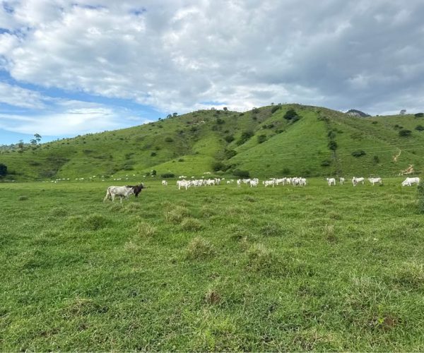 590881521_1392961612617442_295743703669025187_n