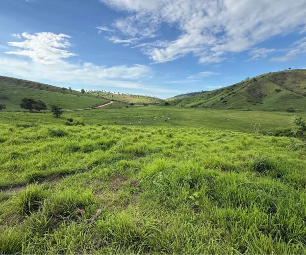 590993315_2067138707155927_5038133185605783760_n