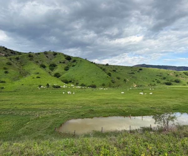 591050345_1377261984075710_7279728410583132178_n