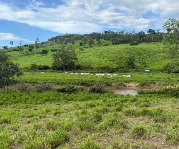 591261110_1207449021240440_3453519415702421156_n (1)