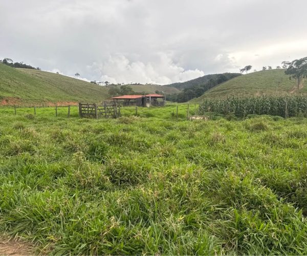 592396204_1183633246550832_3718390931512304381_n