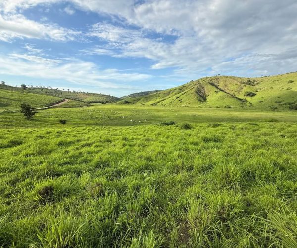 592667825_1158466333076230_2001710545715269595_n