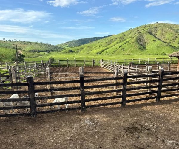 592754900_1375290370805411_3468267085497467939_n