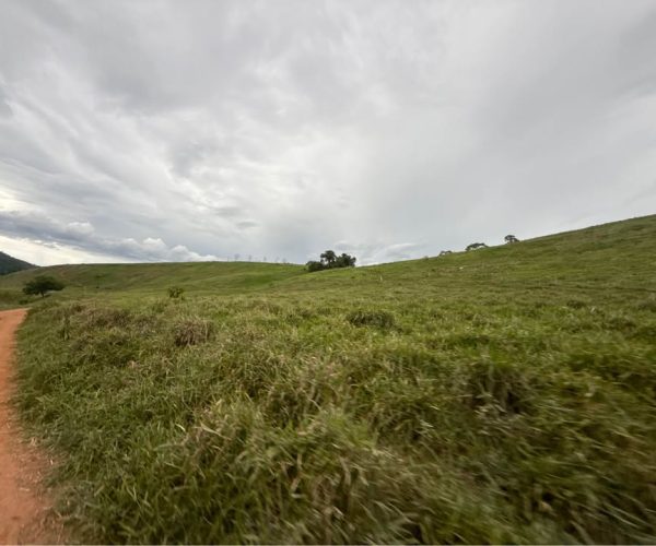 593938659_834266502849674_827556724061173386_n