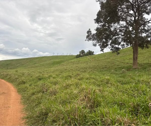 595692994_1780078326115443_5062095972045455524_n