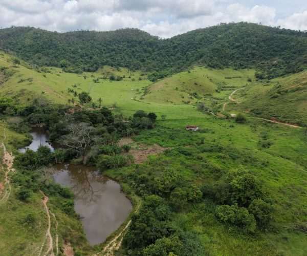 605538000_25435665959437144_4025210201118630862_n