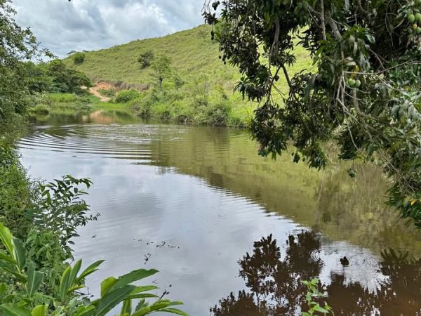 606392295_1374790034389305_1418914822519542655_n