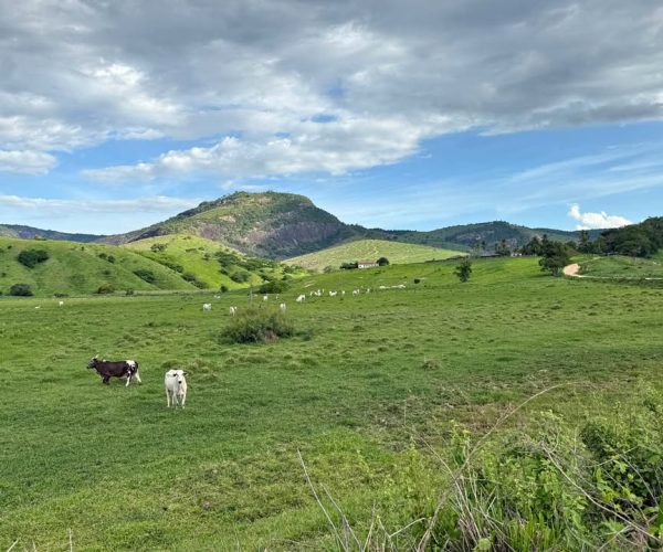 608247435_1217563633644722_7297500024326427368_n