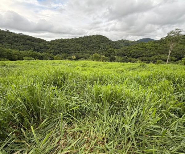 610980672_1680622016247939_4100004136374436468_n