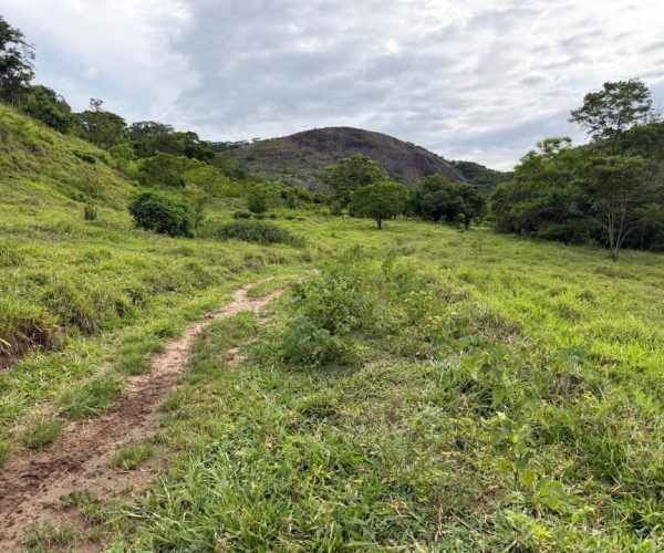 611151710_902747905746845_392798130549057207_n