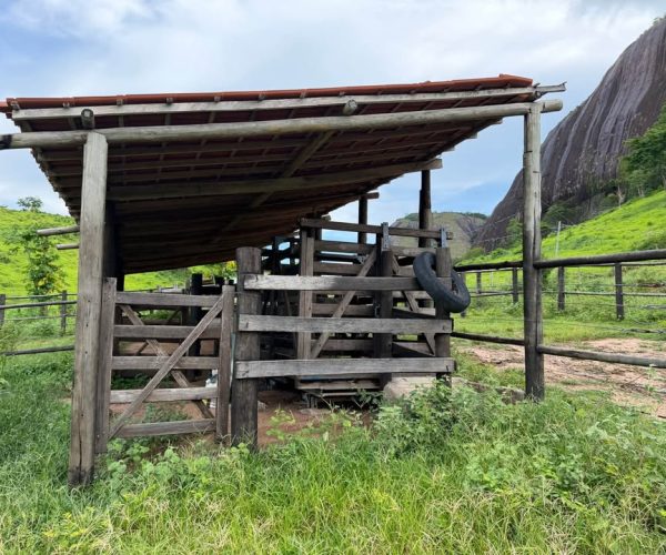 611246442_2327800691050499_4218280410623536344_n