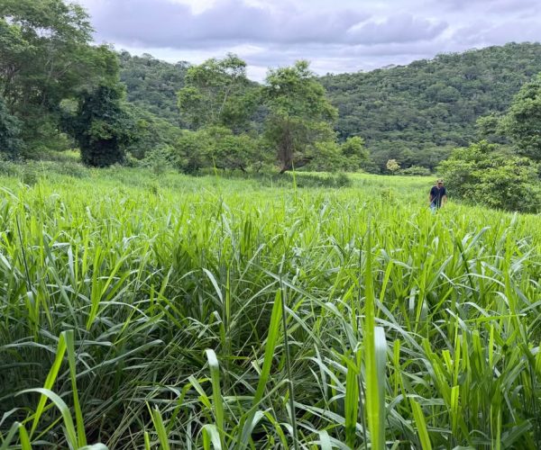 611656839_4296430667275461_5712912383821643944_n