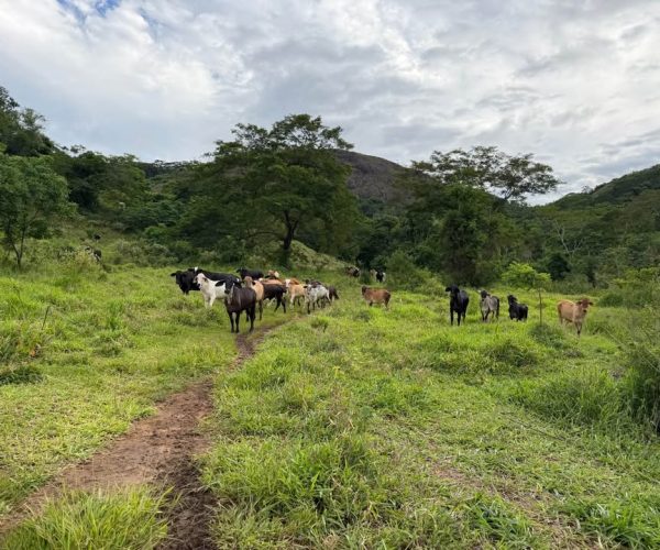 611671168_809874412058070_940916420066207702_n