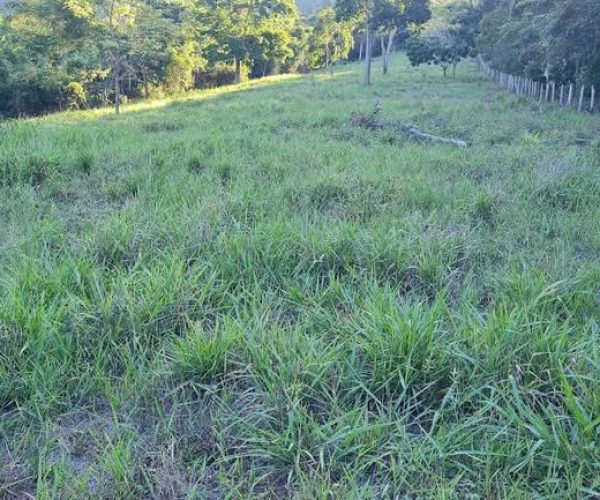 611745782_1663155917991379_4033349057456669279_n