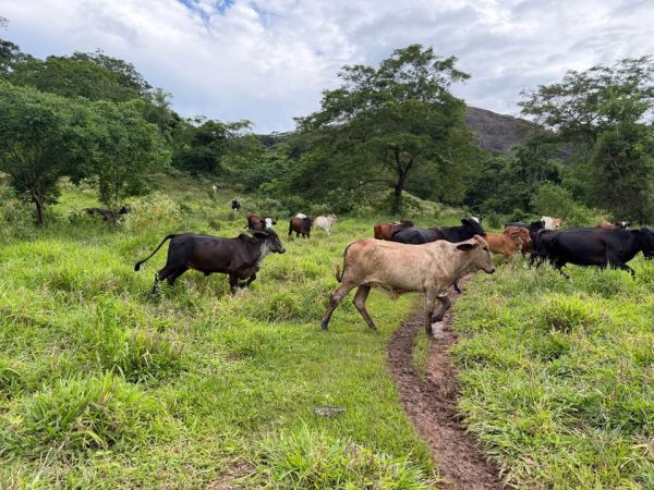 612124892_1442220364151626_3819678042401651539_n