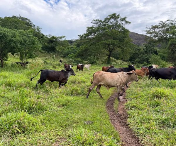 612124892_1442220364151626_3819678042401651539_n