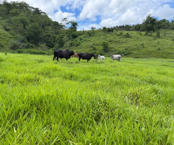 612139637_1386033406334575_4152340879555919028_n