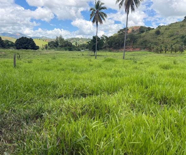 612145657_891691226581170_6803334196832772584_n