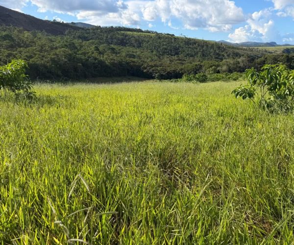 612235069_902295399159261_3480587227800177388_n