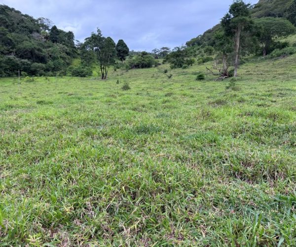 612245184_882541660821216_2878618563700516482_n