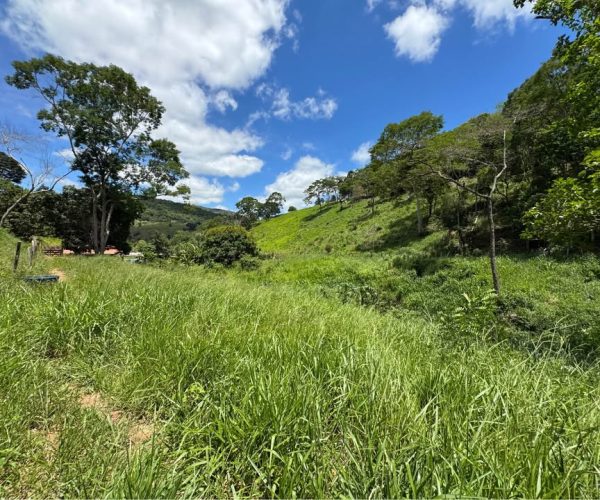 612275416_1673480166948027_6219130653653127228_n