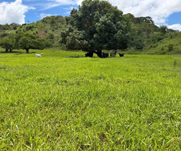 612443339_1269989088520983_1227332174580990250_n (1)