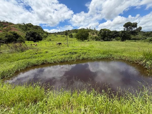 612608454_1365181548149161_9074917385750934467_n