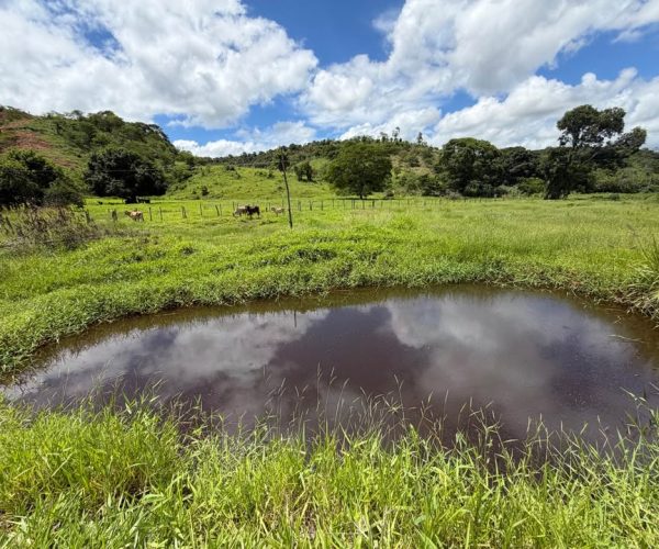 612608454_1365181548149161_9074917385750934467_n