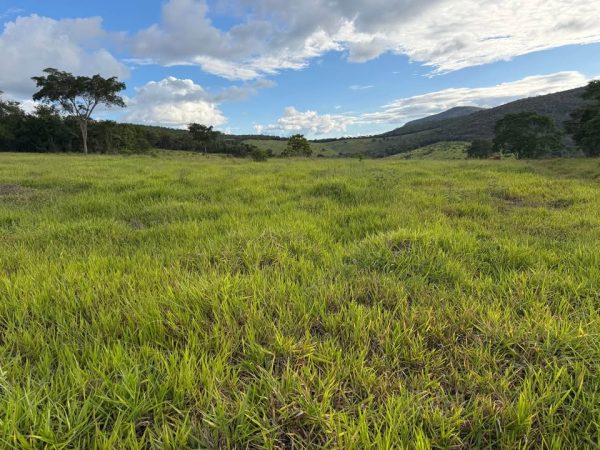 612673498_4228793000665630_1956022106561403365_n (1)