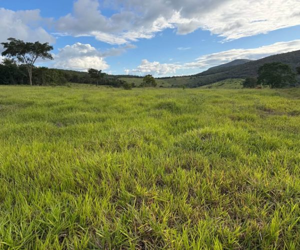 612673498_4228793000665630_1956022106561403365_n (1)