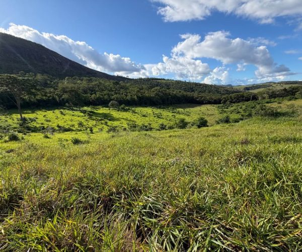 612729259_1193936639570840_8289991132654149416_n