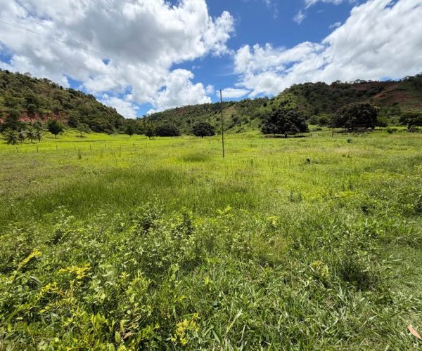 612731403_758951977249817_1253219656356195624_n