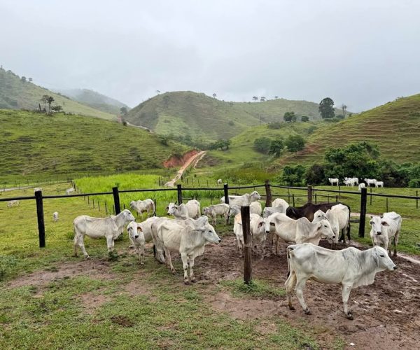 612985972_832131539828220_2160601553027248282_n