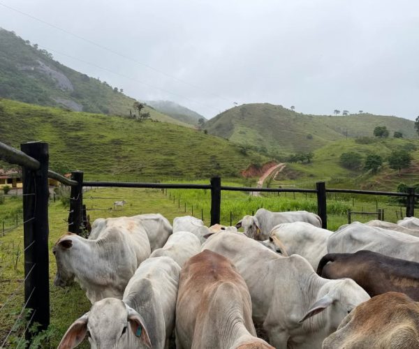 613087959_1846682909307188_5054295261933663521_n