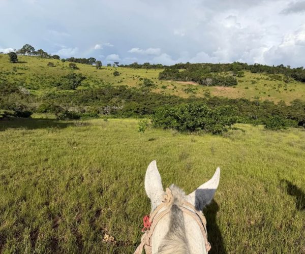 613119022_1436615061156028_6596252073805672742_n