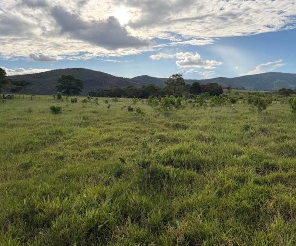 613150724_894490013038345_4384198932499028263_n (1)