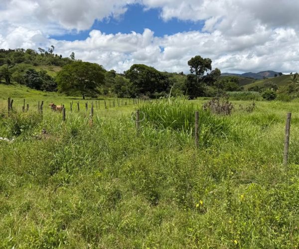 613208717_1516690916073077_3578449985325074924_n