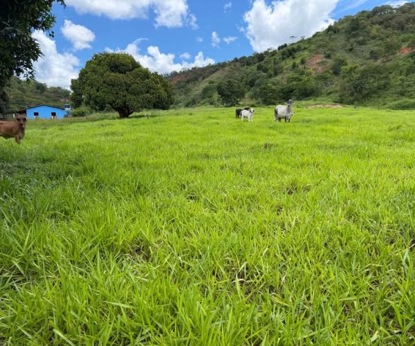 613246834_1449983593804338_4224671994465352874_n (1)