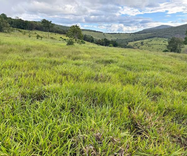 613292088_1200649968917504_7607098912407489092_n